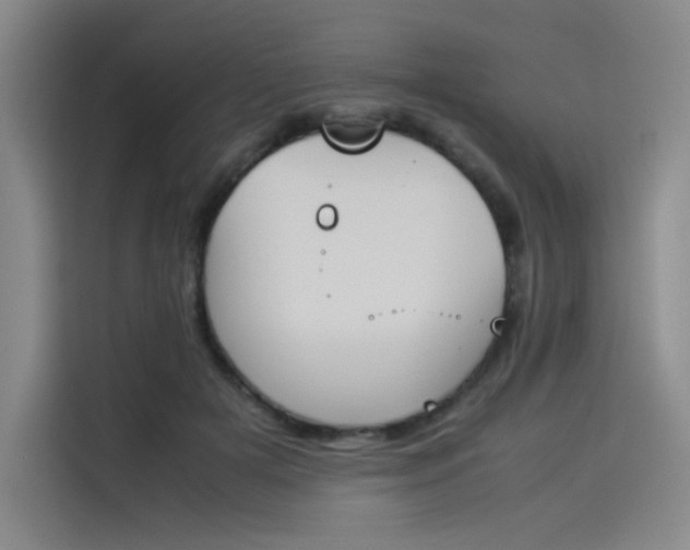 X0000114230505200910161614