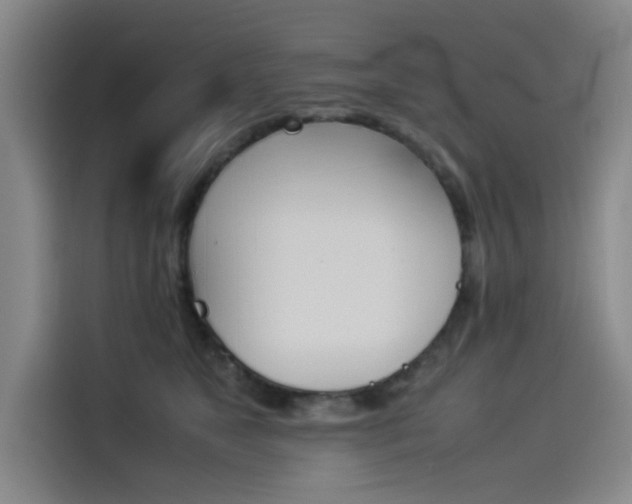 X0000114230517200910161614