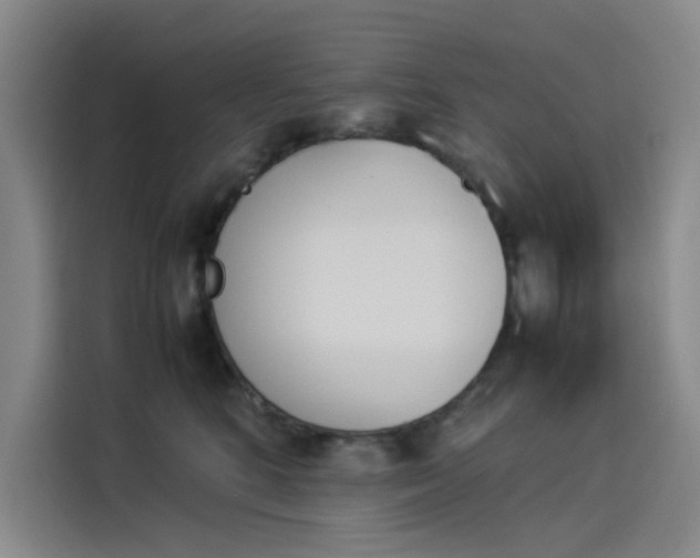 X0000114230520200910161614