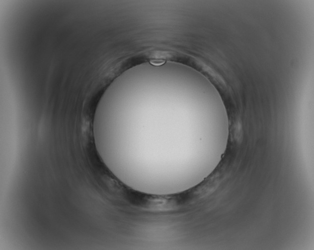 X0000114230521200910161614