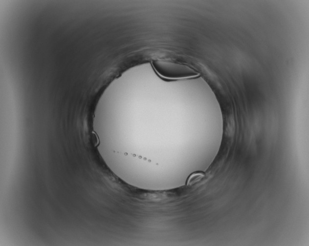 X0000114230524200910161614