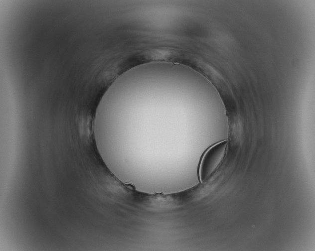 X0000114230525200910161614