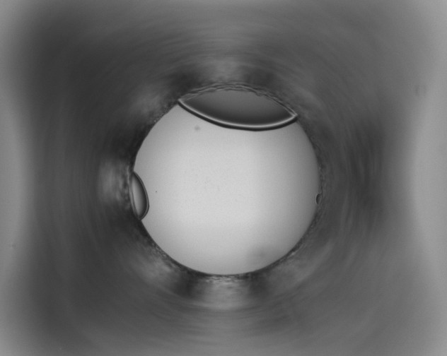 X0000114230528200910161614