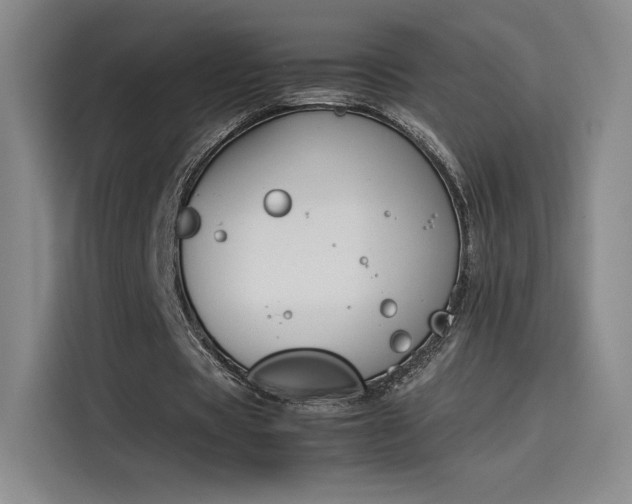 X0000114230529200910161613