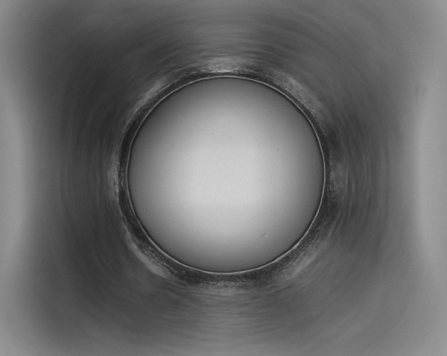 X0000114230530200910161613