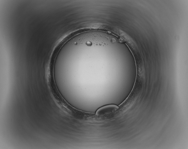 X0000114230532200910161613