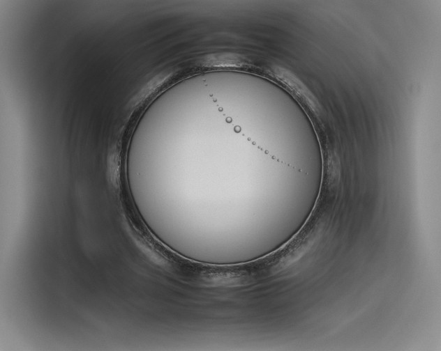 X0000114230533200910161613