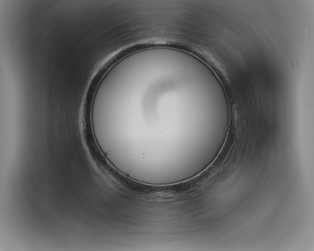 X0000114230536200910161613