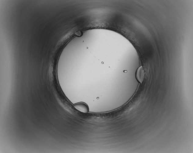 X0000114230538200910161613