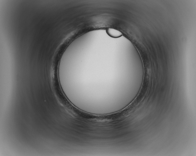 X0000114230539200910161613
