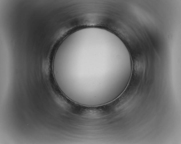 X0000114230540200910161613
