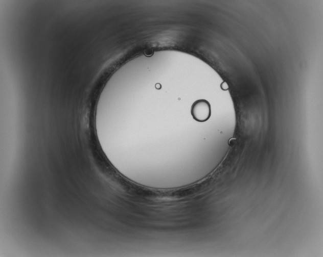 X0000114230543200910161613