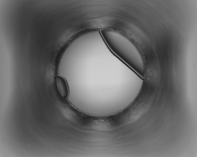 X0000114230544200910161613