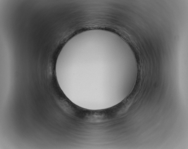 X0000114230546200910161613