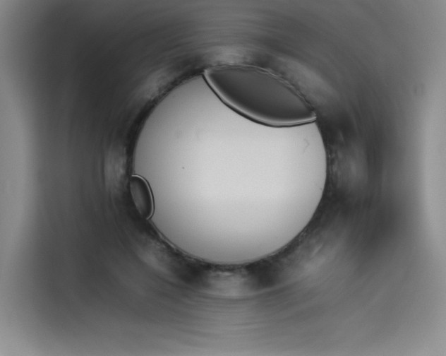 X0000114230548200910161613