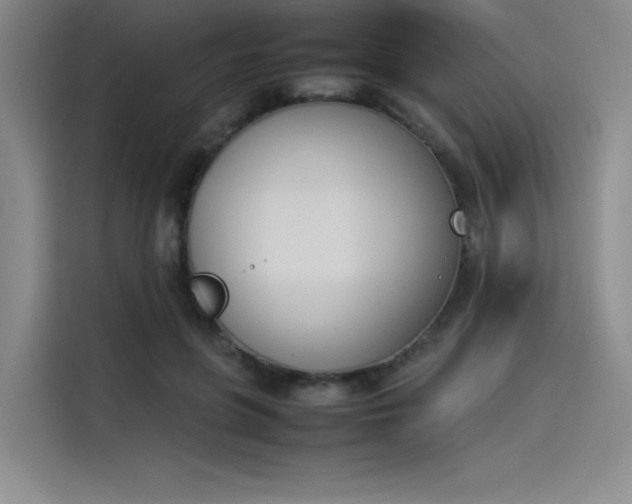 X0000114230551200910161613