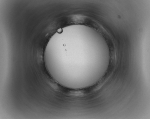X0000114230553200910161613