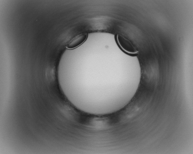X0000114230556200910161613