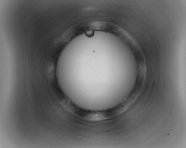 X0000114230557200910161613