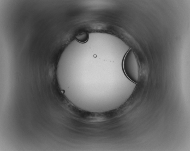 X0000114230559200910161613
