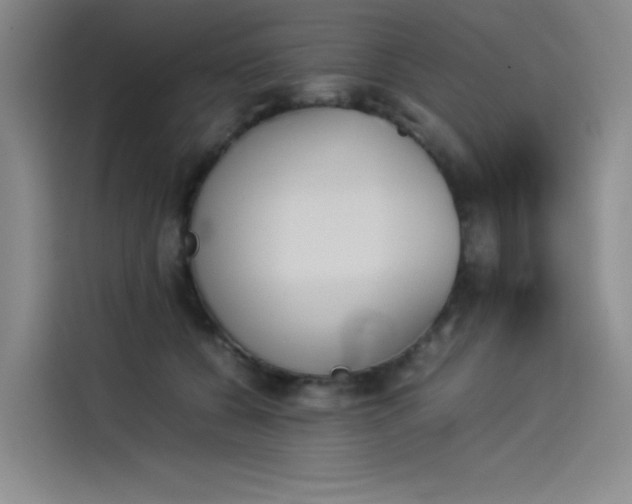 X0000114230560200910161613