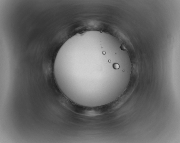 X0000114230561200910161613