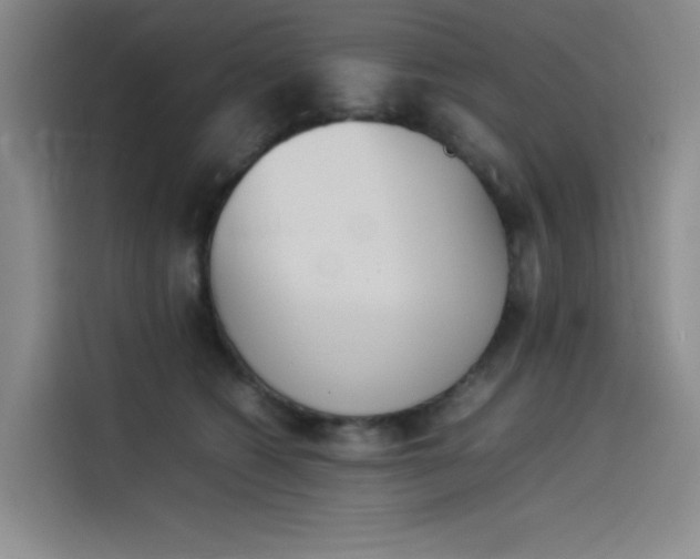 X0000114230562200910161613