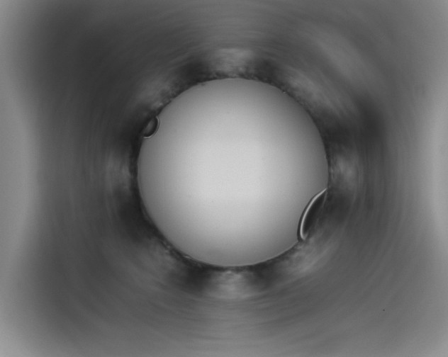 X0000114230566200910161613