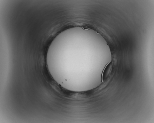 X0000114230568200910161613