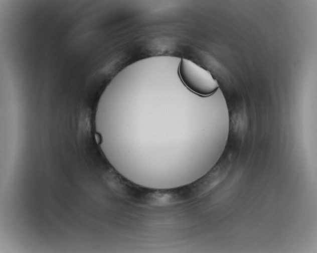 X0000114230570200910161613