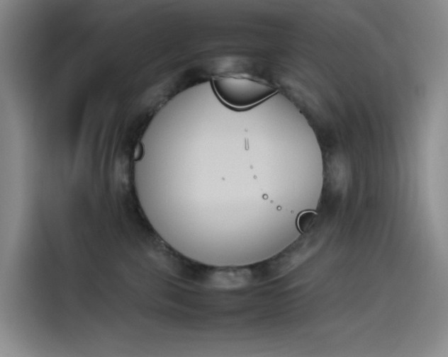 X0000114230571200910161613