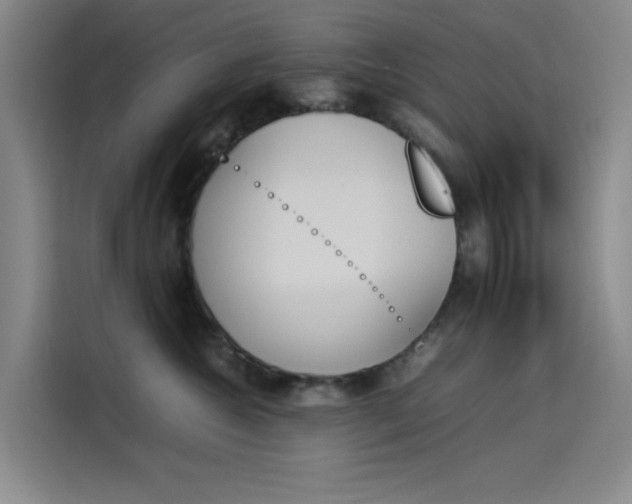 X0000114230572200910161613