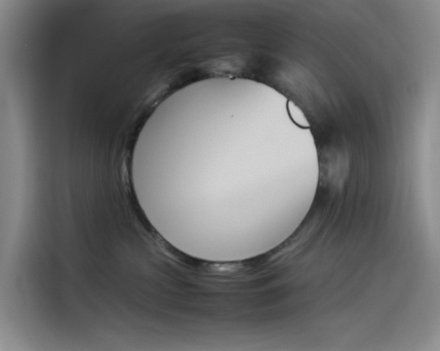 X0000114230573200910161614