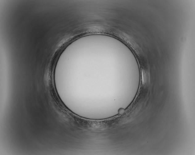 X0000114230579200910161613