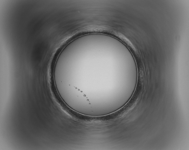 X0000114230581200910161613