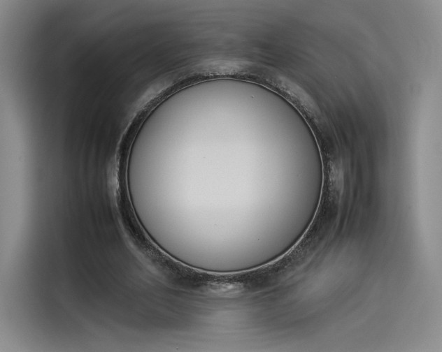 X0000114230582200910161613