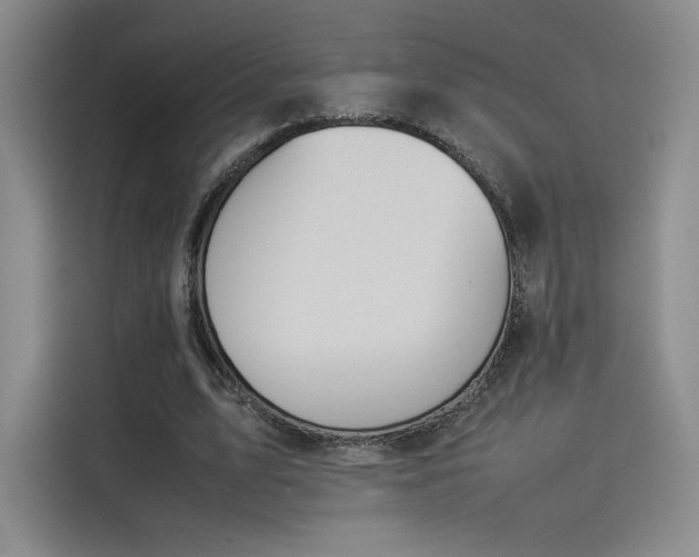 X0000114230583200910161613