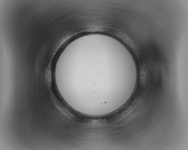 X0000114230584200910161613