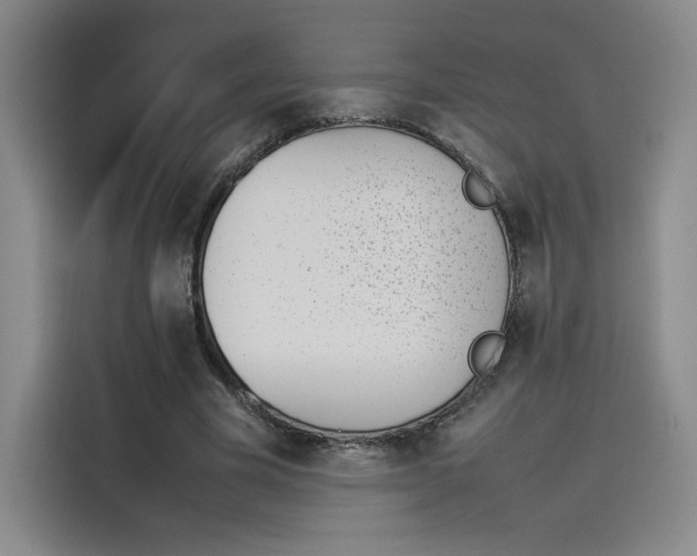 X0000114230585200910161613