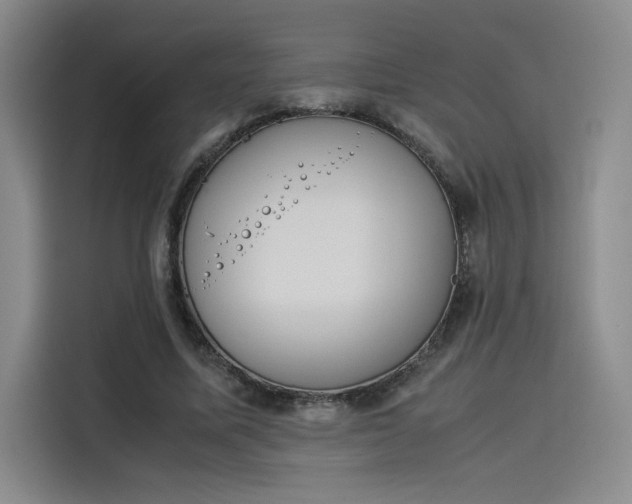 X0000114230587200910161613