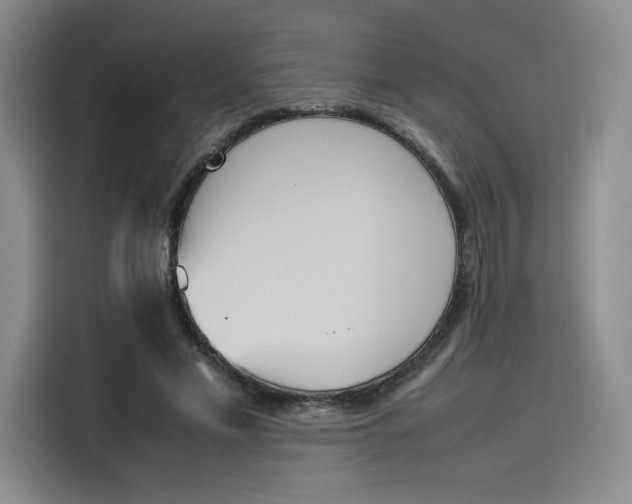 X0000114230589200910161613