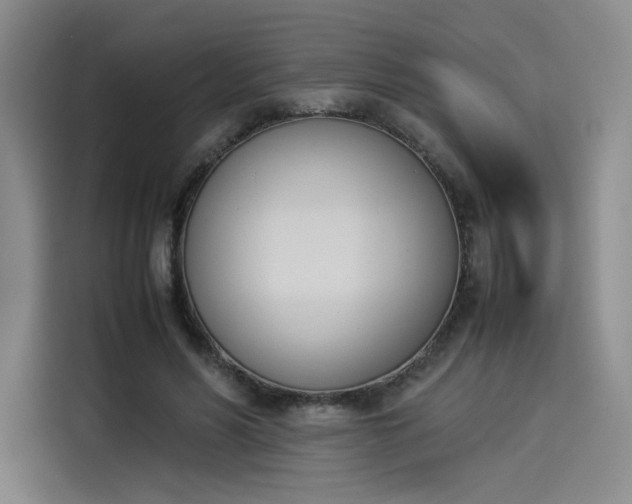 X0000114230590200910161613