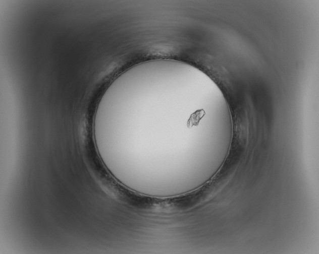 X0000114230591200910161613