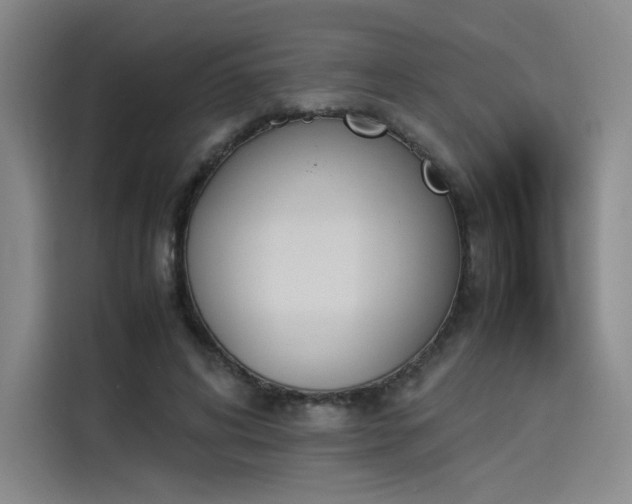 X0000114230592200910161613