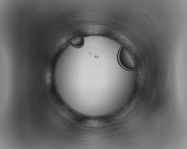X0000114230596200910161613