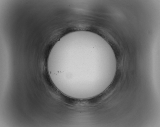 X0000114230599200910161613