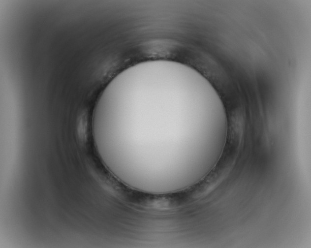 X0000114230600200910161613