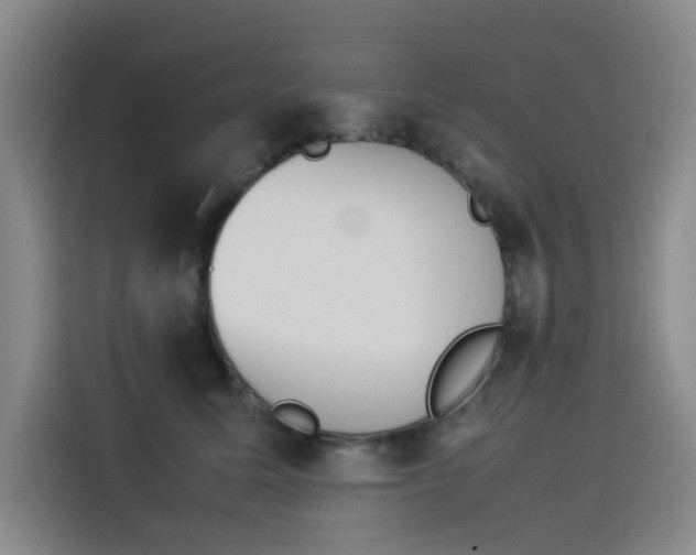 X0000114230611200910161612