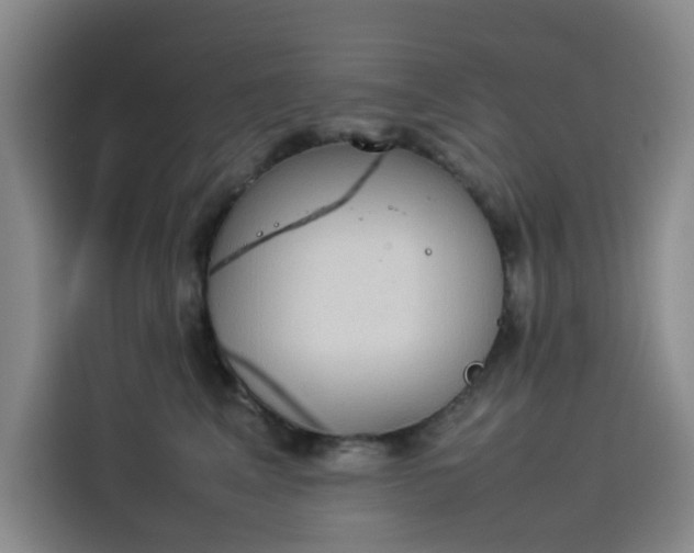 X0000114230617200910161612