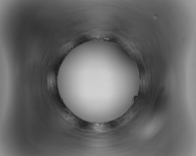 X0000114230623200910161612